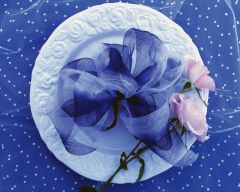 Tapeta Nature Flowers 591.jpg